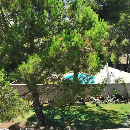 Moli * Bibinje