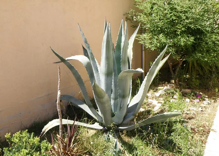 Holiday Moli Apartment